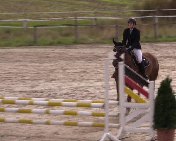 Sommerturnier Altenberge 2016