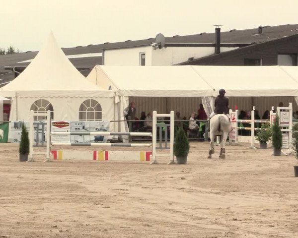 Reitturnier Datteln 2016