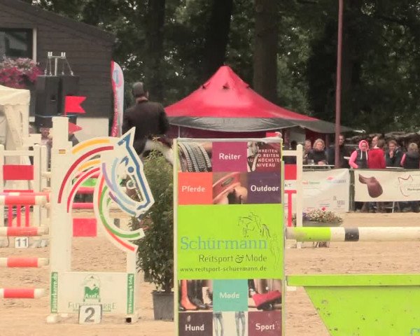 Reitturnier Datteln 2016