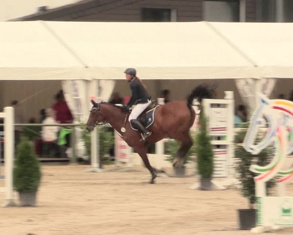 Reitturnier Datteln 2016