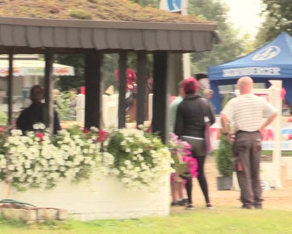 Reitturnier Datteln 2016