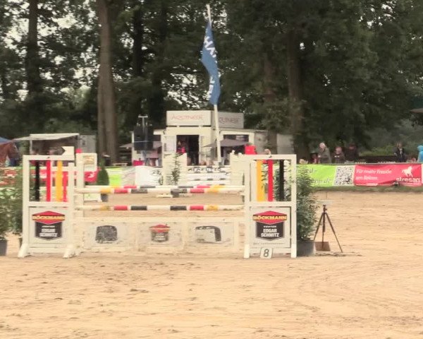 Reitturnier Datteln 2016