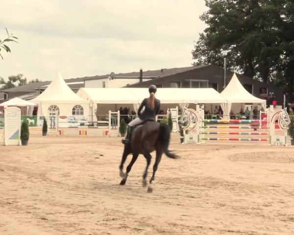 Reitturnier Datteln 2016