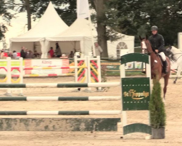 Reitturnier Datteln 2016