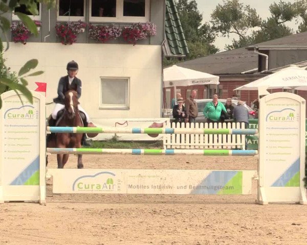 Reitturnier Datteln 2016