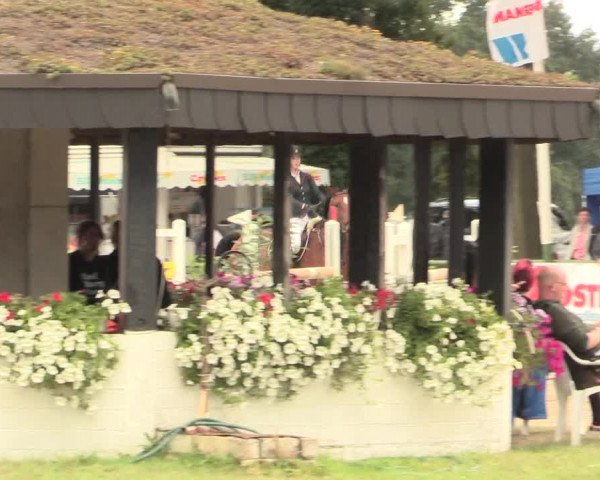 Reitturnier Datteln 2016