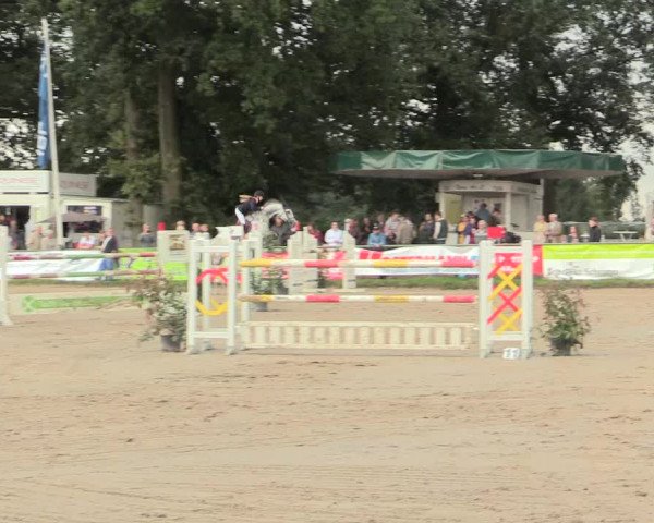 Reitturnier Datteln 2016