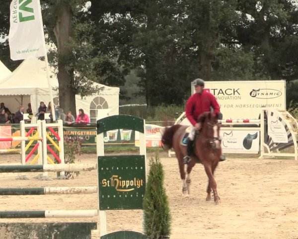 Reitturnier Datteln 2016