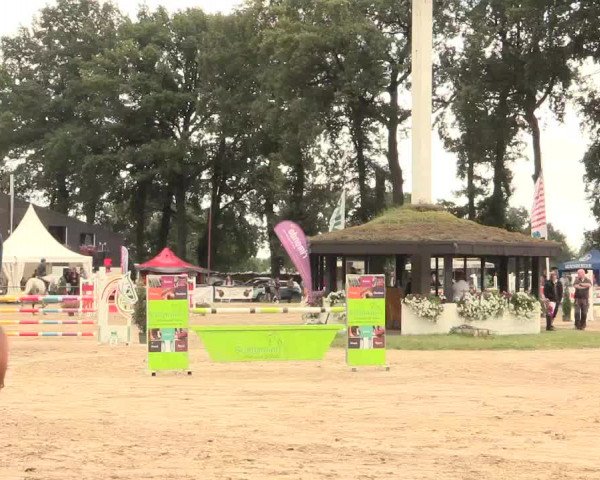 Reitturnier Datteln 2016