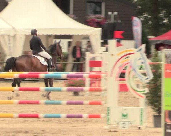 Reitturnier Datteln 2016