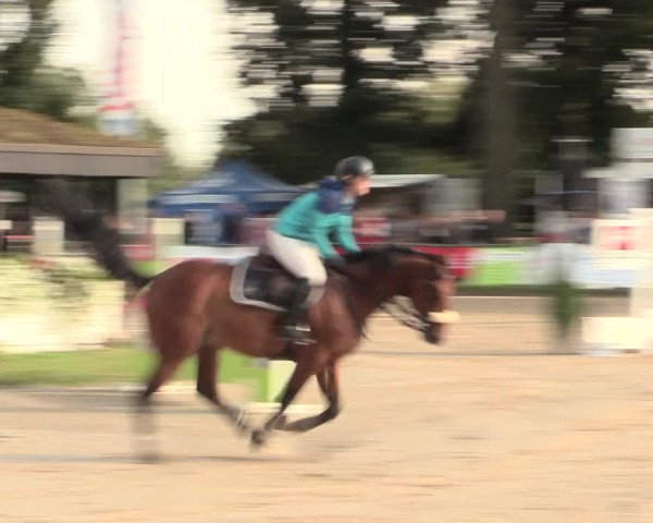 Reitturnier Datteln 2016