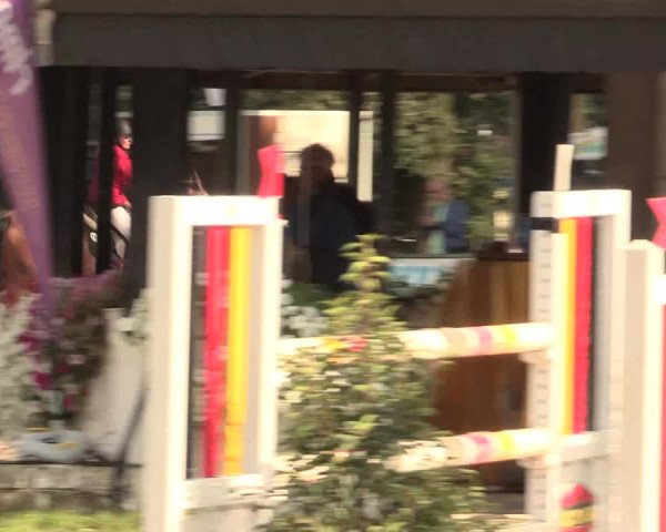 Reitturnier Datteln 2016