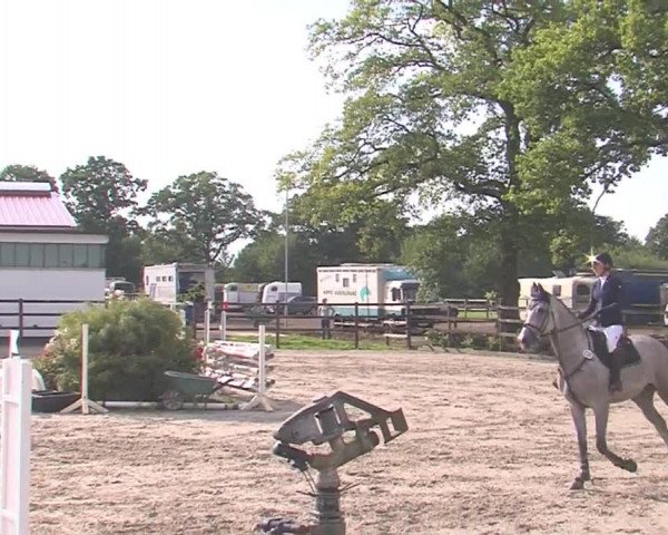 Reitturnier HH-Klein Offenseth/Hell-Stallion-Stud 2016