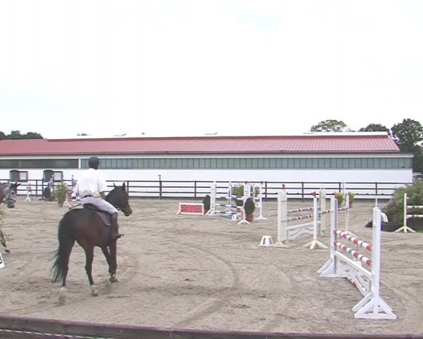 Reitturnier HH-Klein Offenseth/Hell-Stallion-Stud 2016