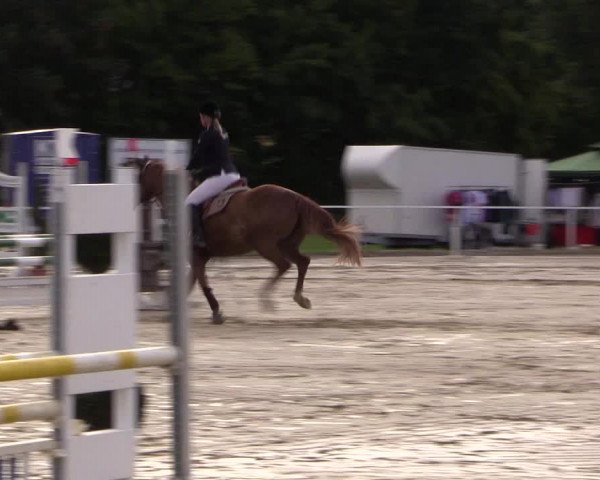 Reitturnier Menden 2016