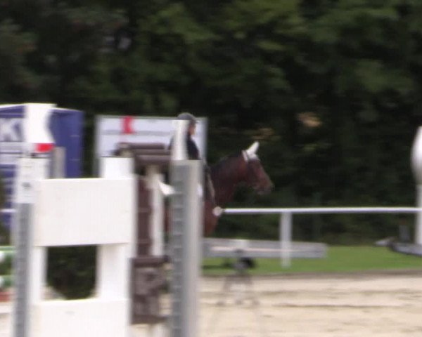 Reitturnier Menden 2016