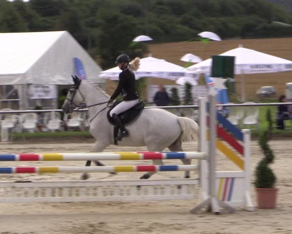 Reitturnier Menden 2016