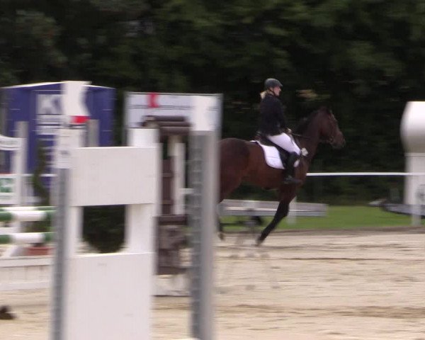 Reitturnier Menden 2016