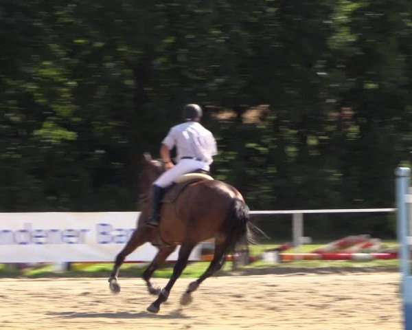 Reitturnier Menden 2016
