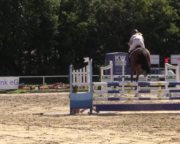 Reitturnier Menden 2016