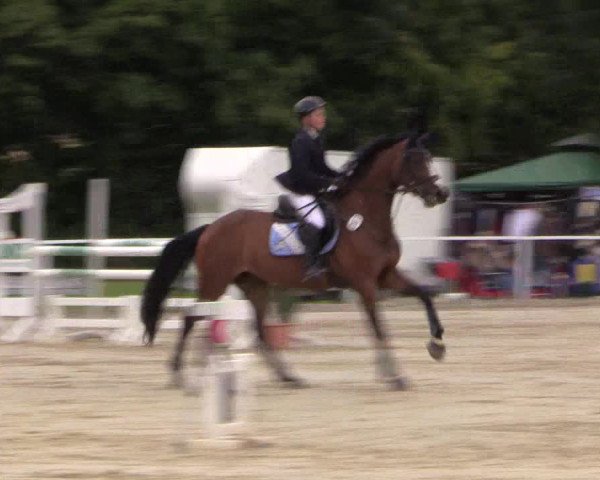 Reitturnier Menden 2016