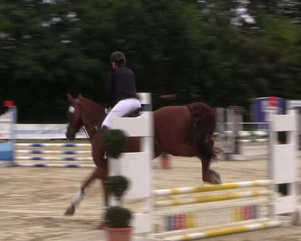Reitturnier Menden 2016