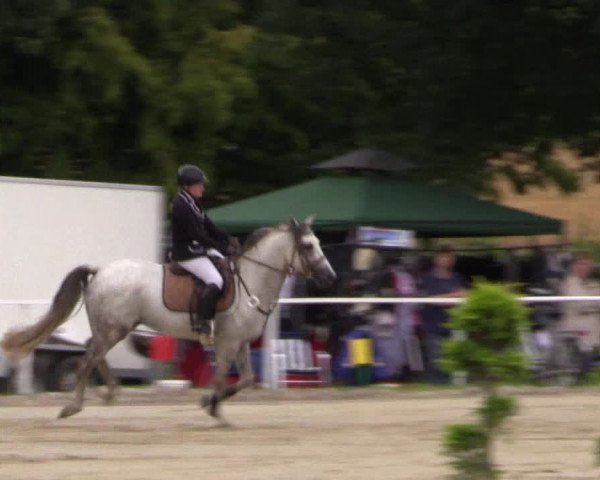 Reitturnier Menden 2016