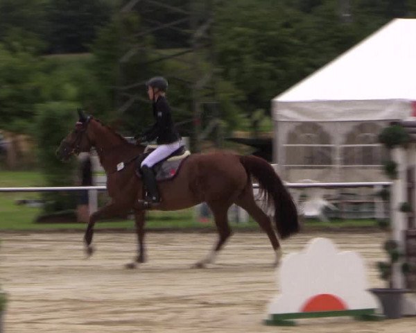 Reitturnier Menden 2016