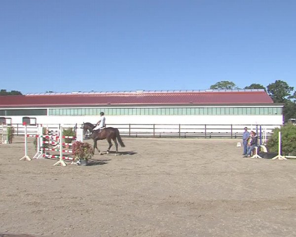 Reitturnier HH-Klein Offenseth/Hell-Stallion-Stud 2016