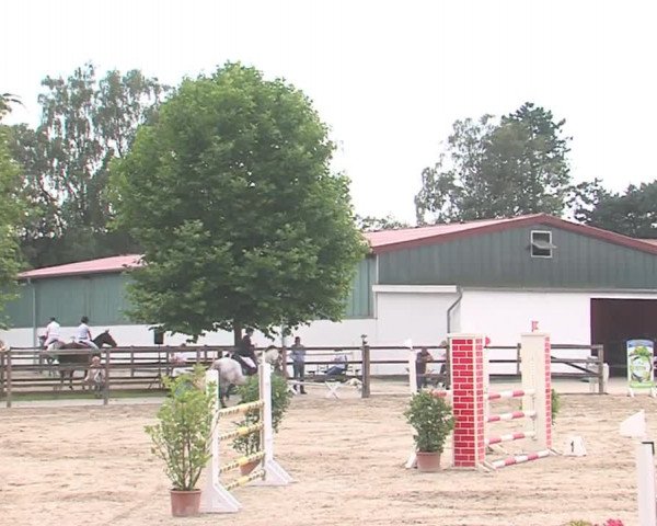 Reitturnier HH-Klein Offenseth/Hell-Stallion-Stud 2016
