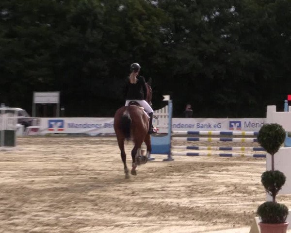 Reitturnier Menden 2016