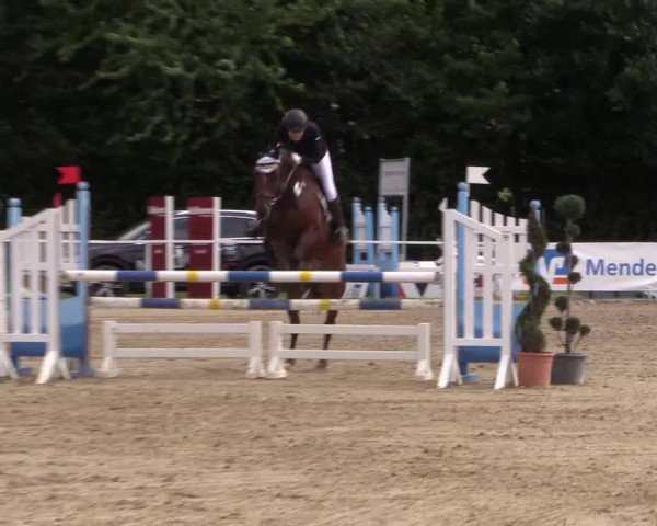 Reitturnier Menden 2016
