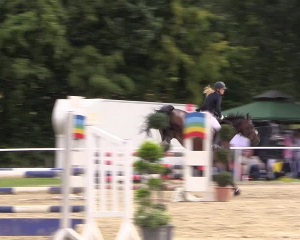 Reitturnier Menden 2016