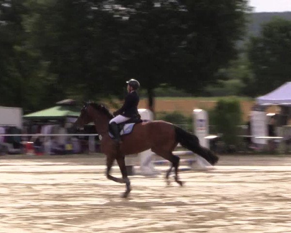 Reitturnier Menden 2016