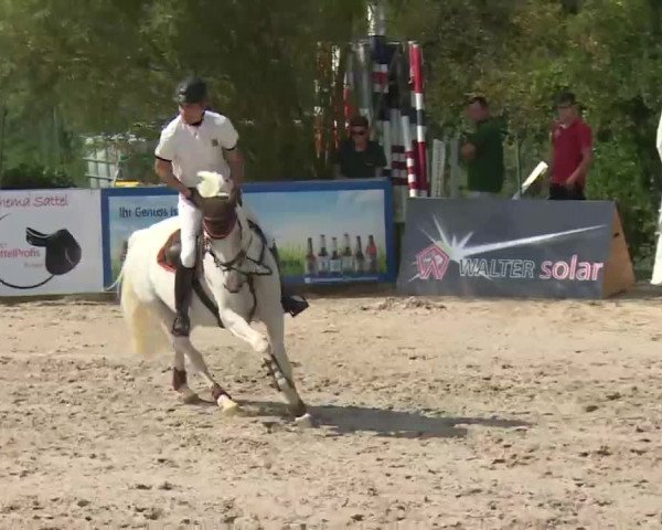 HORSE classics Killingen 2016