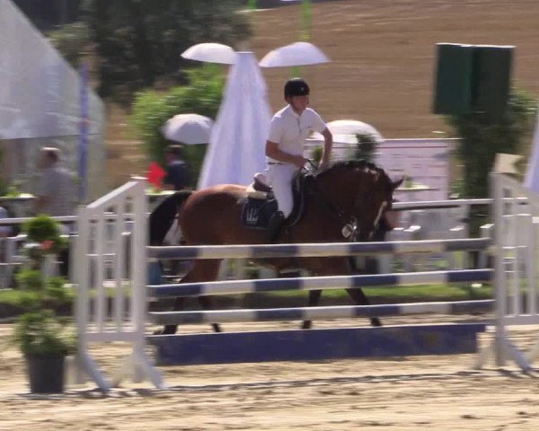 Reitturnier Menden 2016