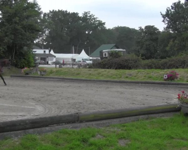 Reitturnier Datteln 2016