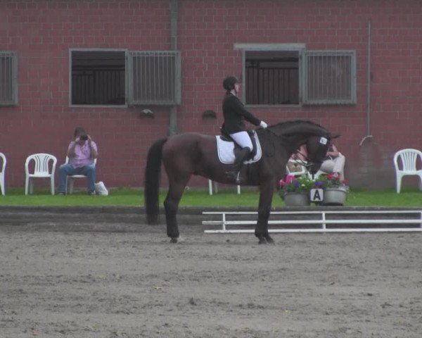 Reitturnier Datteln 2016