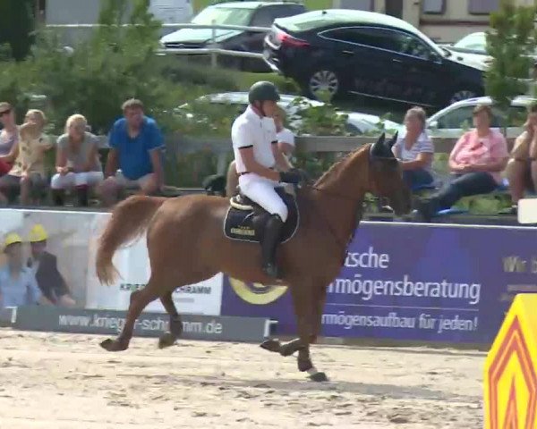 HORSE classics Killingen 2016