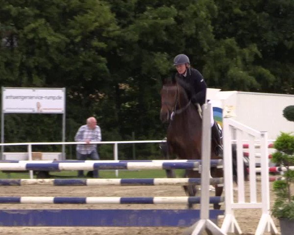 Reitturnier Menden 2016