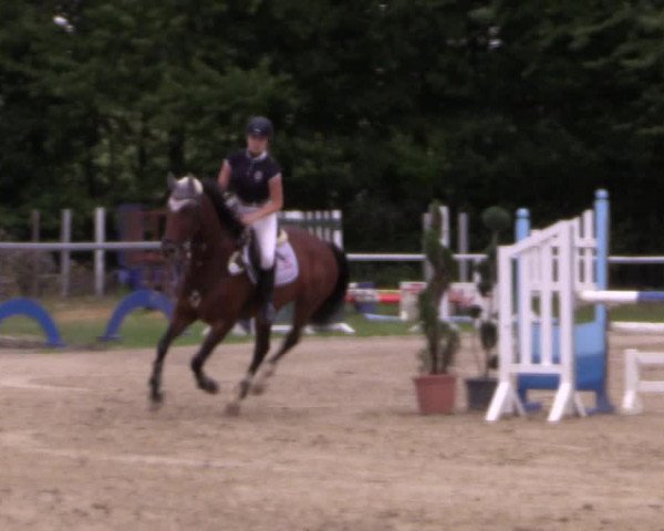 Reitturnier Menden 2016