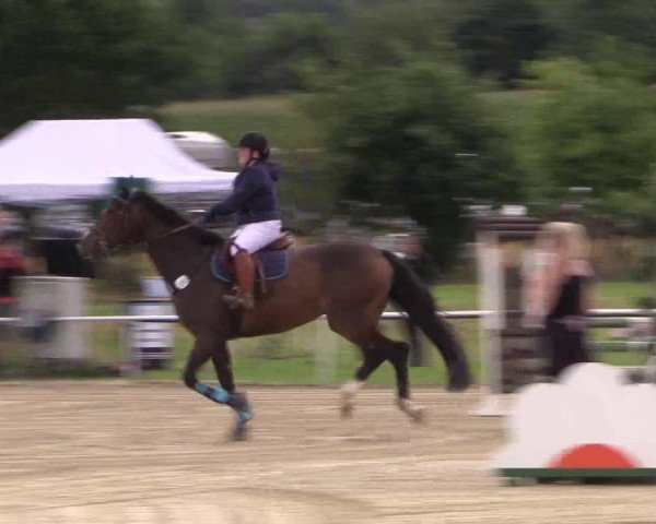 Reitturnier Menden 2016