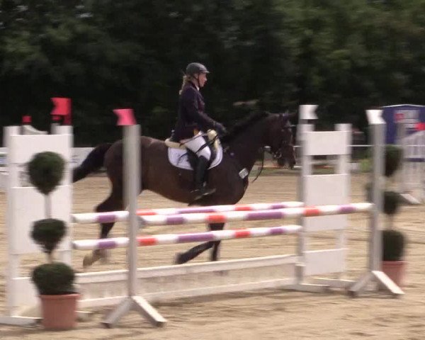 Reitturnier Menden 2016