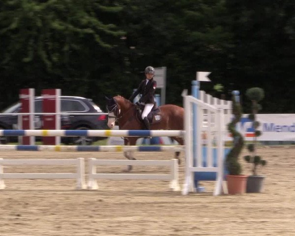 Reitturnier Menden 2016