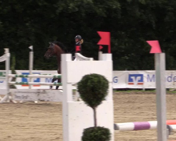Reitturnier Menden 2016