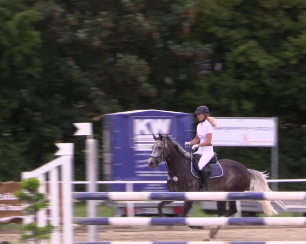 Reitturnier Menden 2016