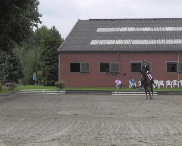 Reitturnier Datteln 2016