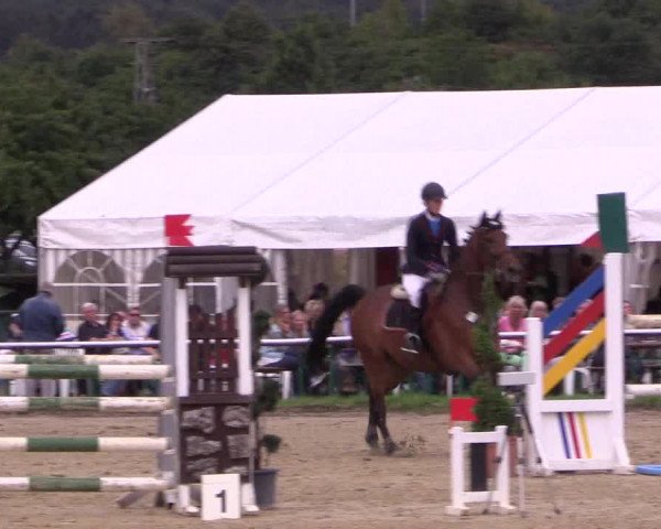 Reitturnier Menden 2016