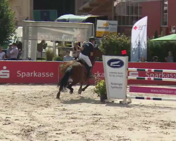 HORSE classics Killingen 2016