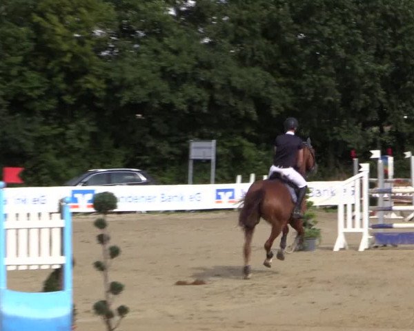 Reitturnier Menden 2016